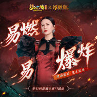 易燃易爆炸_谭维维