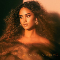 Know It's Wrong_Skylar Stecker