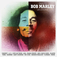 Positive Vibration_Ben L'Oncle Soul