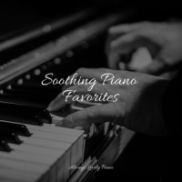 Sound Embrace_Relajación Piano,Piano Pianissimo,Tranquil Music Sound of Nature