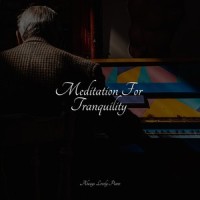 Moonrise Air_Piano Pianissimo,Exam Study Classical Music Orchestra,Chillout Lounge Piano