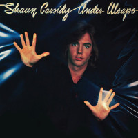 Lie To Me_Shaun Cassidy