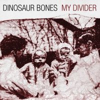 N.Y.E._Dinosaur Bones