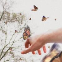 BUTTERFLIES_Ryan Hall