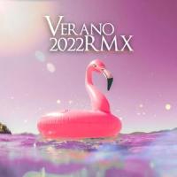 VERANO 2022(feat. THE LA PLANTA, BRANDY LOVE, IVAN FITT, DANI CEJAS, DJ LAUUH & LEAN ON THE BEATS)_Valen,The La Planta,BRANDY LOVE,Ivan Fitt,Dani Cejas,Dj Lauuh,LEAN ON THE BEATS