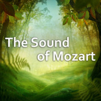 Mozart: Piano Concerto No. 11 in F major, K.413 - 3. Tempo di menuetto_內田光子,English Chamber Orchestra,Jeffrey Tate