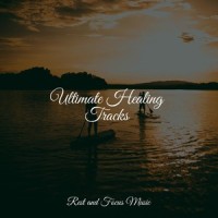 Soothing Southern Sounds_White Noise Sleep Sounds,Meditation Awareness,Spa