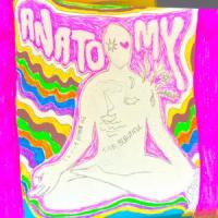 Anatomy_Myles Bullen,Blake Rules,Kuf Knotz