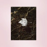 So Small and so Quiet_isabella fortuna,itssvd