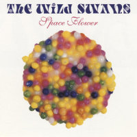 Tastes Like Tuesday_The Wild Swans