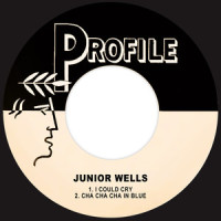 Cha Cha Cha in Blue_Junior Wells,Amos Blakemore