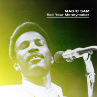 My Love Is Your Love_Magic Sam