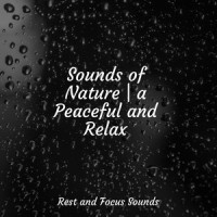 Kiss in the Spring_Tranquil Music Sound of Nature,Relaxing Spa Music,Pink Noise