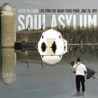 The Game_Soul Asylum