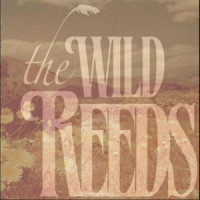 Winter Moon_The Wild Reeds