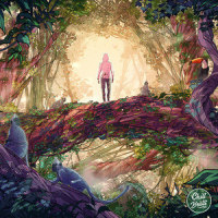 Jungle_Rnla