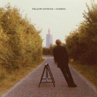 Things Are Fallin'_Yellow Ostrich