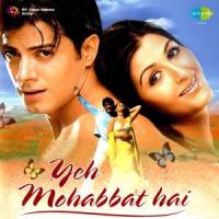 Bechain Mera Yeh Dil Hai_Udit Narayan,Alka Yagnik,Anand Raaj Anand