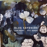 Blue Sapphire_Tom Grant,Phil Baker