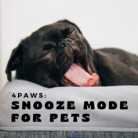 Cat nap_Sleepy Dogs,Dog Calming Music,Dog Music Bliss