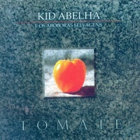 Eu preciso_Kid Abelha