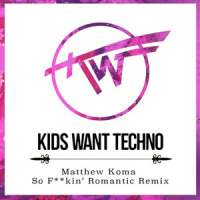 So F**kin Romantic_Kids Want Techno,Matthew Koma