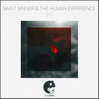 Sad_Saint Sinner,The Human Experience