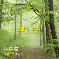 静寂の森_植地雅哉