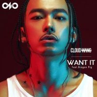 WANT IT_CLOUDWANG 王云