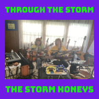We're On The Mend_The Storm Honeys