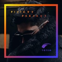 Picture Perfect_Totem