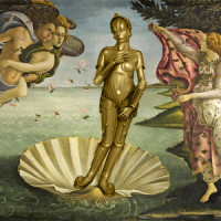 Venus (You Can Love)_The Usual Suspects