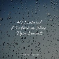 Thunder Rain_Academia de Meditação Buddha,Life Sounds Nature,Sol y Lluvia