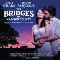Temporarily Lost_Steven Pasquale