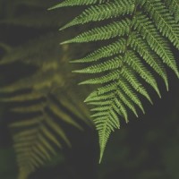 Rolling Dusk_Sleepy Times,Sounds of Nature White Noise Sound Effects,Yoga Namaste