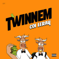 TWINNEM_Coi Leray