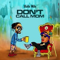 Don't Call Mom_Shatta Wale
