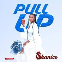 Pull Up_Shanice