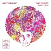 I Couldn't Love You More_Incognito,Vanessa Haynes
