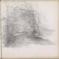 A Blown-Away Leaf_Johan Bril,Leoš Janáček