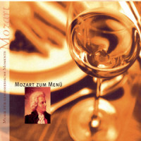 Allegretto grazioso_Stefan Vladar,Academy of St Martin in the Fields,Wolfgang Amadeus Mozart