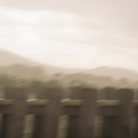 everything is gray_eli.,Eli Lucas