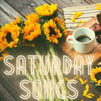 Saturday Night's Alright (For Fighting)_Fall Out Boy