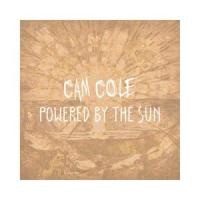 It Doesn't Have To Be_Cam Cole