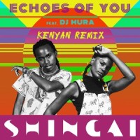 Echoes of You(feat. Dj Mura)_Shingai,Dj Mura