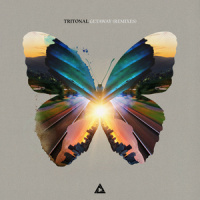 Getaway_Tritonal,Angel Taylor