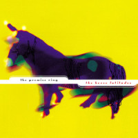 A Picture Postcard_The Promise Ring