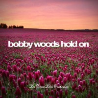 Hold On_Bobby Woods,Les Deux Love Orchestra