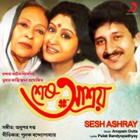 Ami Aachi Sukhe Aachi_Anupam Dutta,Kumar Sanu,Anupama Deshpande