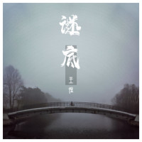 谜底_王晴